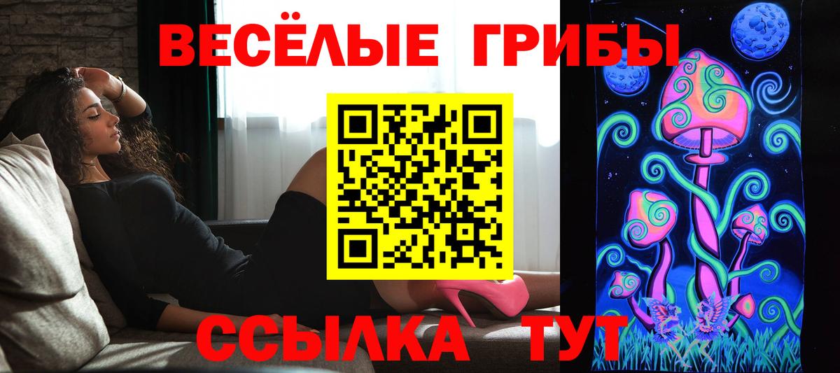 Псилоцибиновые грибы прущие грибы  Вход с VPN  Черемхово 