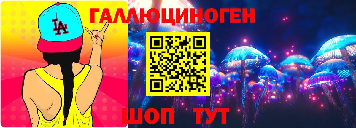 Псилоцибиновые грибы Psilocybe Черемхово